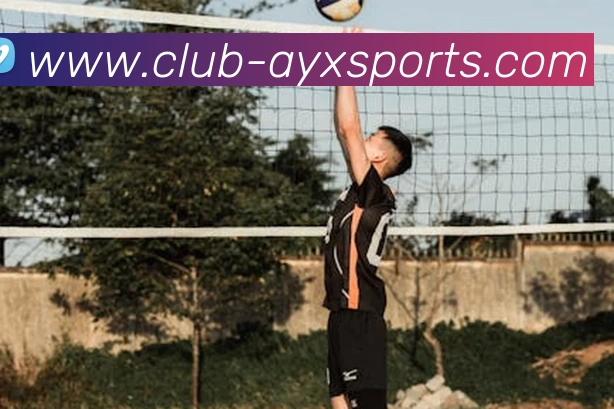 爱游戏体育服务体系