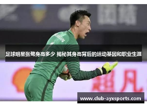 足球明星张鹭身高多少 揭秘其身高背后的运动基因和职业生涯