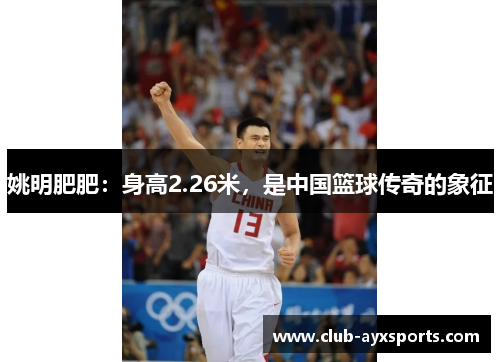 姚明肥肥：身高2.26米，是中国篮球传奇的象征