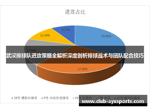 武汉排球队进攻策略全解析深度剖析排球战术与团队配合技巧