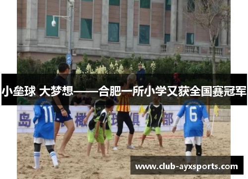 小垒球 大梦想——合肥一所小学又获全国赛冠军